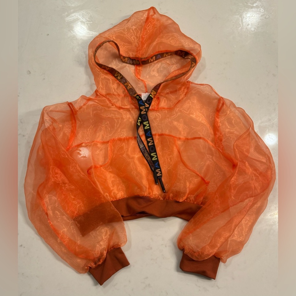 Sheer Hoodie